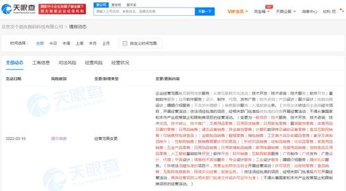 基础软件服务 数字时代的基石与未来