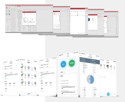 广州 基础软件服务产业发展的沃土与引擎